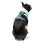 Preview: Kurgo Journey Air Harness Blau Gr. M Preview: Kurgo Journey Air Harness Blau Gr. M